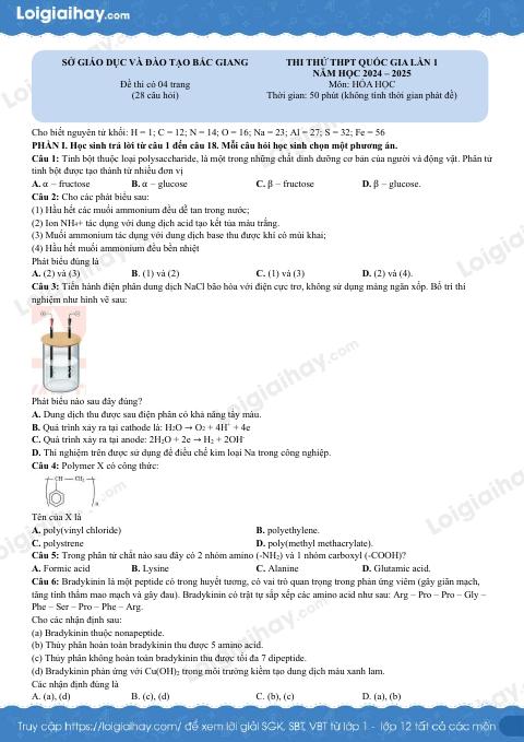 Đề thi thử THPT môn Hóa lần 1 năm 2025 Sở GD Bắc Giang